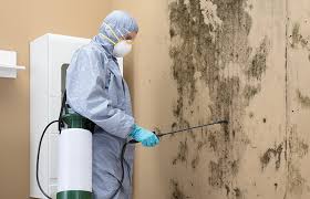 Best Biohazard Mold Removal  in Rson, CA